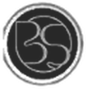 Logo BS